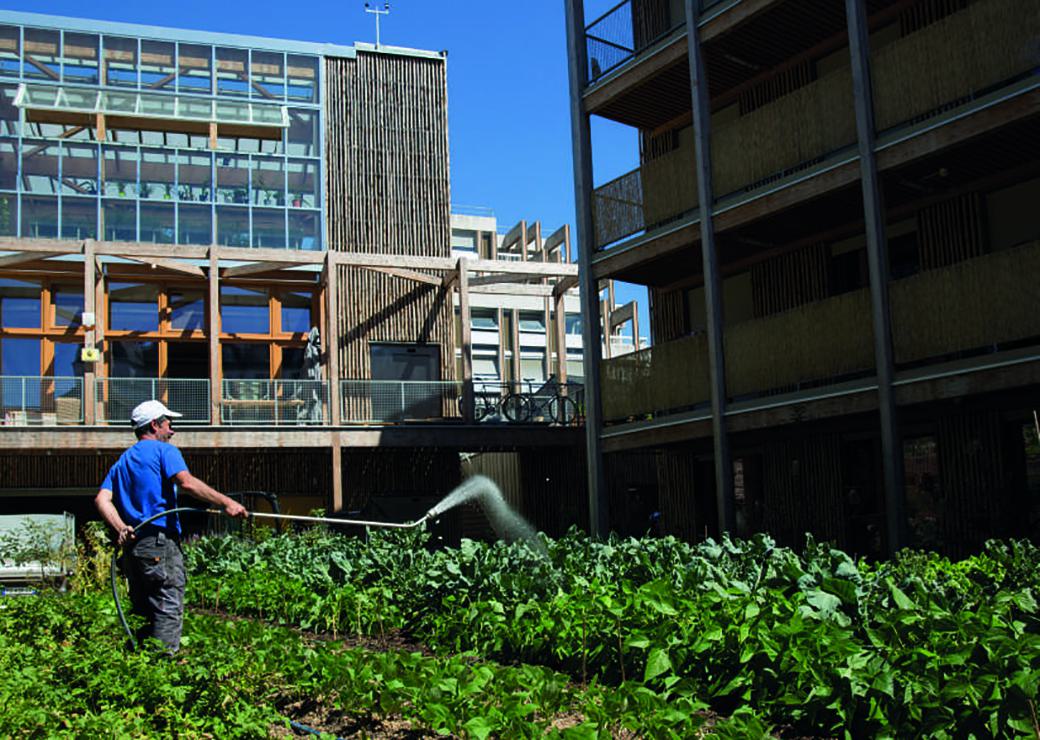 Paris Adopte Son Plan Local D'urbanisme "bioclimatique"